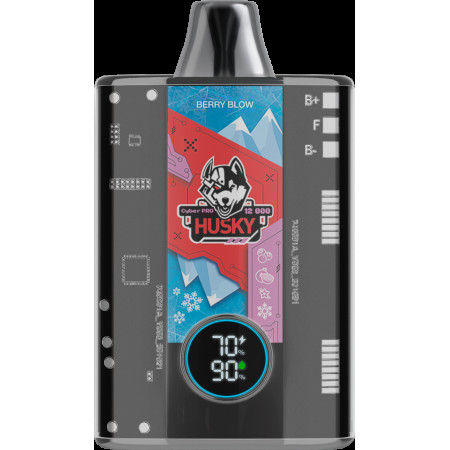 Husky cyber pro Berry Blow Черника / гранат / ваниль / лёд