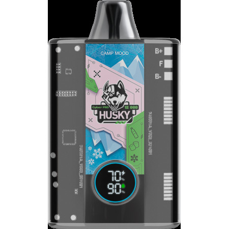 Husky cyber pro Camp Mood Фрустайл / зефир / лёд